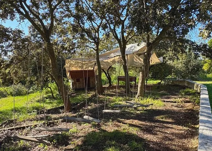 Piedras Negras, La Parchite, * Ronda
