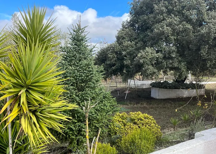 Piedras Negras, La Parchite,