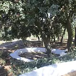 Piedras Negras, La Parchite,