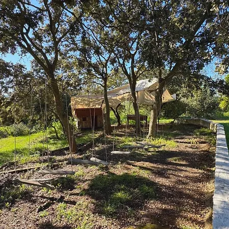 Piedras Negras, La Parchite, * Ronda