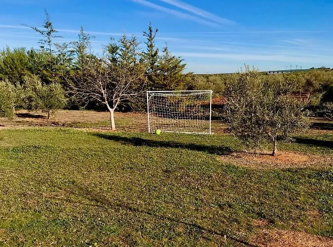 Piedras Negras, La Parchite, * Ронда