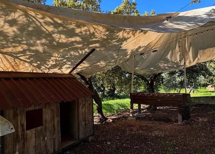 Piedras Negras, La Parchite, Tatil Evi Ronda