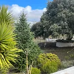 Piedras Negras, La Parchite,